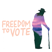 Voting Rights Georgia Sticker by Creative Courage