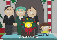 jimmy valmer mayor mcdaniels GIF by South Park 