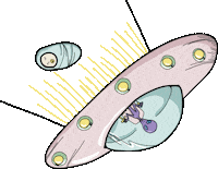 baby bb Sticker by ANA MARIA SAAD