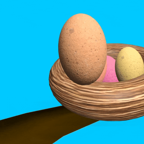 Bird Spring GIF by GT8Studios