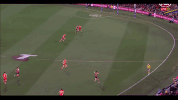 afl seedsman GIF by Adelaide Crows