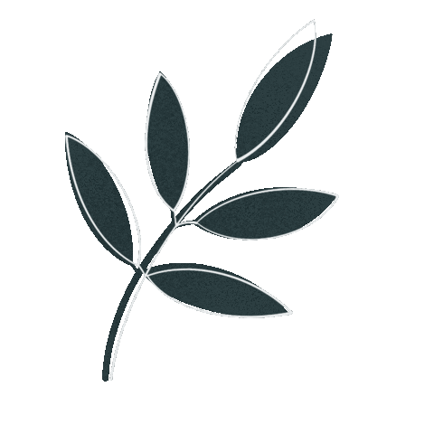 claramafra nature leaf boho hippie Sticker