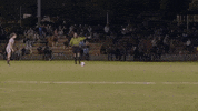 College Womens Soccer GIF by Trinity University