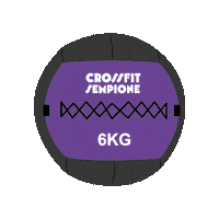 Wallball Sticker by CrossFit Sempione