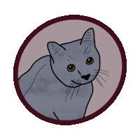 Cat Lady Sticker
