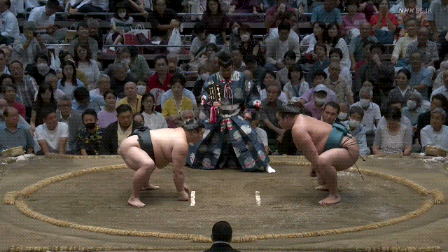 TZ85 giphyupload sumo 2023 aki basho shodai GIF