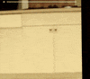 vine GIF