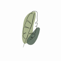 tinapoedinkova цветок лист трава зелень GIF