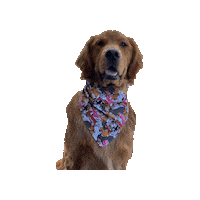 Golden Retriever Disney Sticker by Geekster Pets