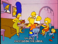 Season 1 GIF by The Simpsons