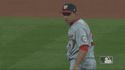 Major League Baseball Sport GIF by MLB