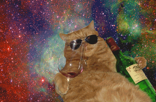 Photo gif. Photo of a fat tabby cat with sunglasses on. They clutch a wine bottle and glass in each paw and they float in a shimmering galaxy.