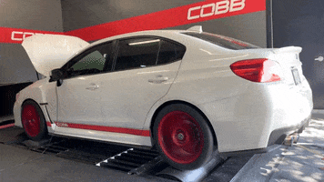 Racing Track GIF by COBB Tuning