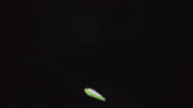 Doxocial GIF by DOX