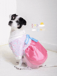 Korean GIF