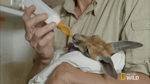 bmd funny gif