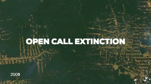 stevebisson giphygifmaker photography call contest GIF