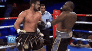 toprank fight boxing fighting espn GIF