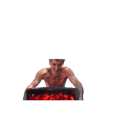 gustarossoit giphyupload gustarosso Sticker