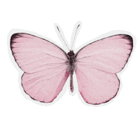 Sdesignworks rainbow fly free flying Sticker
