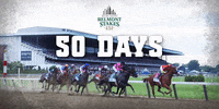 theNYRA  GIF