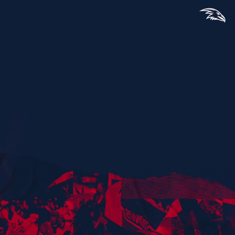 Adelaide Football Club GIF by Adelaide Crows