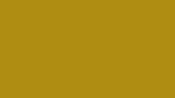 Art Video GIF by jorgemariozuleta