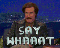say what GIF
