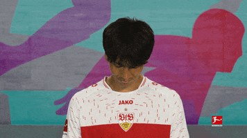 Vfb Stuttgart Football GIF by Bundesliga