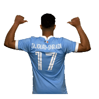 New York City Fc Reaction Sticker by NYCFC