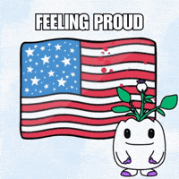 United States Vote GIF by Magic Eden
