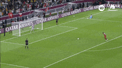 World Cup Win GIF by Football Australia
