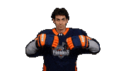 Hockey Nhl Sticker by Flint Firebirds