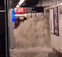 New York Flooding GIF by GIPHY News