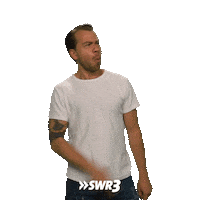 Show Wow Sticker by SWR3