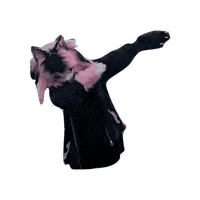 Dance Cat Sticker