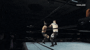 kick ko GIF by THE WRESTLERS