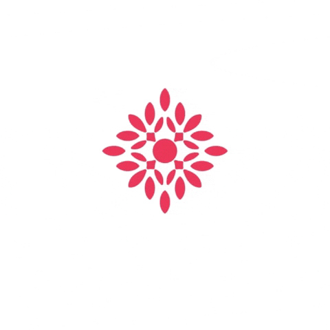GIF by Multicultural Center Brusinka