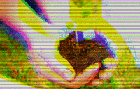 institutoagropolos agro instituto agropolos GIF