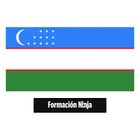 Flag Pixel Art Sticker by Formación Ninja