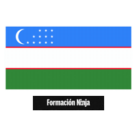 Flag Bandera Sticker by Formación Ninja