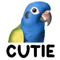 Quarky Birdy Sticker by zoopeez