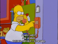 homer simpson episode 6 GIF