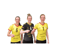Eredivisie Volleybal Sticker by Draisma Dynamo