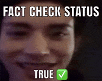 Kpop GIF
