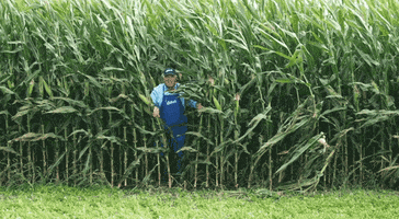 Fast Food GIF by Culver's