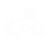 Flower Sticker by The Kindness Project