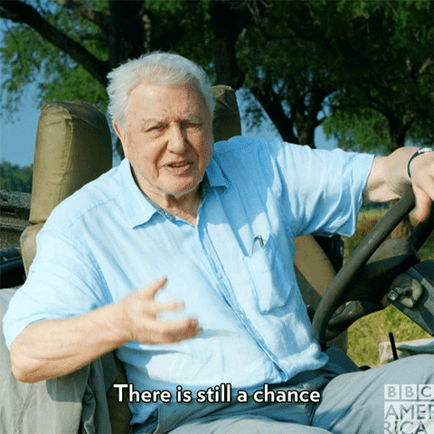 GIF by BBC America