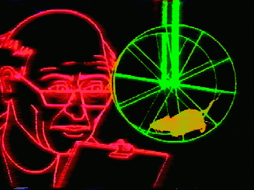 vhs GIF