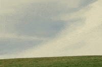 Disco Dancing GIF by Remi Wolf